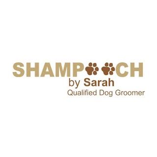 Shampooch By Sarah