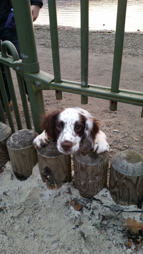 Ashley Veterinary Centre