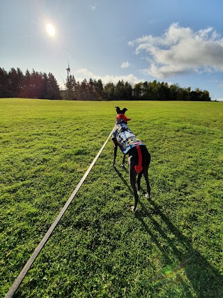 Hareleeshill Sports Barn