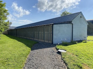 Bryn Difyr Boarding Cattery