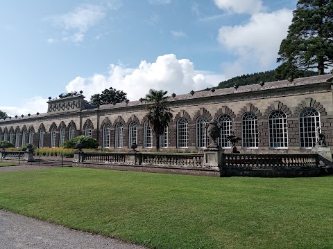 Margam Park Adventure