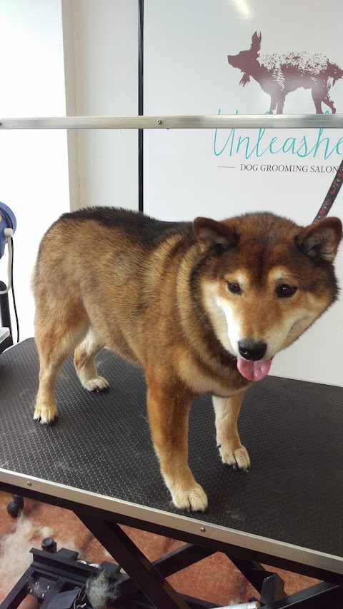 Unleashed Dog Grooming Salon