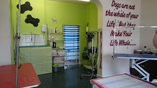 Fur Do's Dog Grooming Spa