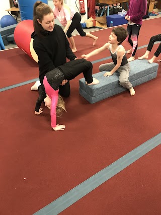 T50 Gymnastics