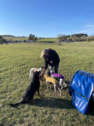 Inca's Trail Secure Dog Park