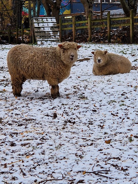 Windmill Hill City Farm