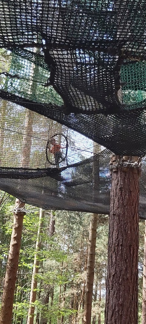 Go Ape Sherwood - Nets Adventure