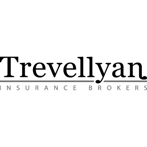 Trevellyan Insurance Brokers