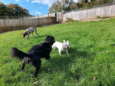 Woodborough Gardens Kennels & Catteries