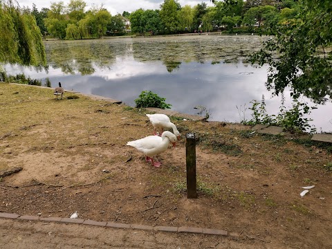 Roath Park Wild Gardens