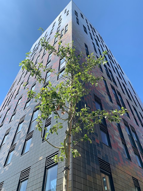 Goldstone House, Mithras Halls, University of Brighton