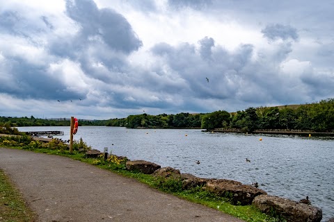 Parc Bryn Bach