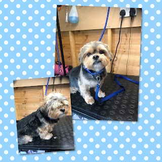 Sarah's Dog Grooming