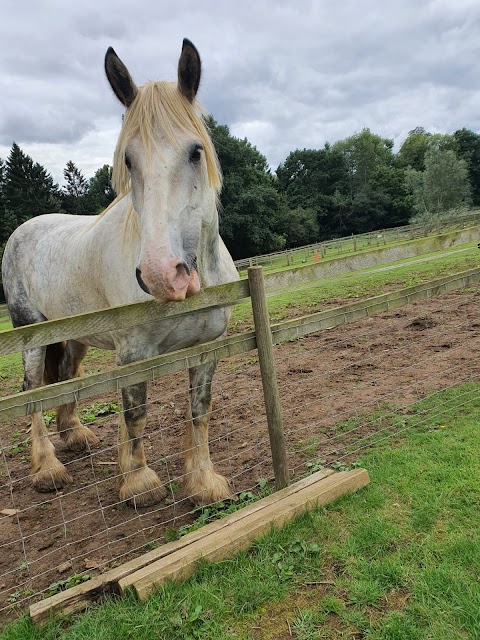 Rutland Farm Park