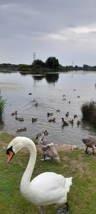 Shinewater Park