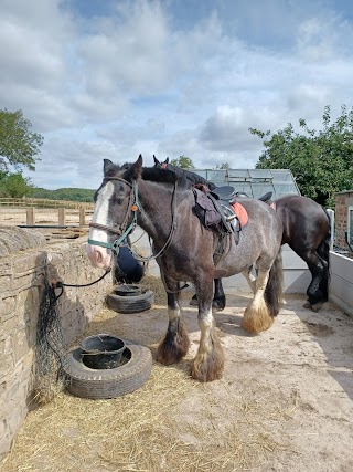 Derbyshire Pony Trekking