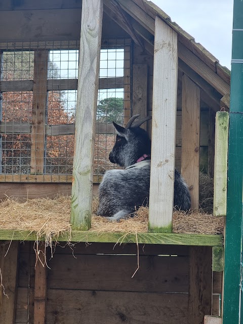 St. Anne's City Farm and Ecology Centre