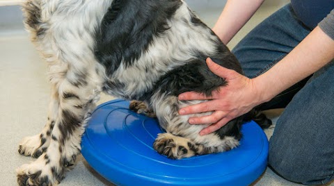 Burnside Animal Rehabilitation Centre