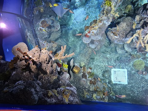 Bristol Aquarium