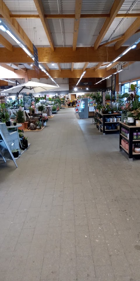 Dobbies Garden Centre Livingston