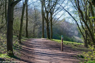 Foremark Reservoir