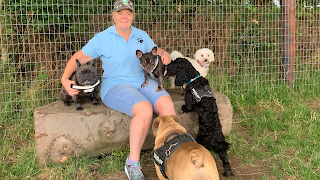 Lynne's Dog Walking and Pet Services