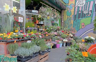 Hornsey Pet & Garden Shop