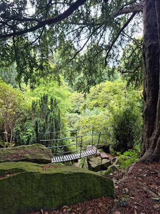 Biddulph Grange Tea Room