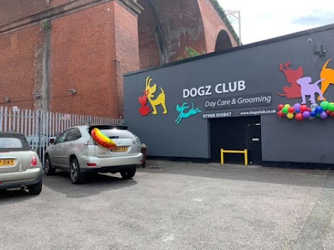 Dogz Club - Doggy Day Care and Dog Grooming Stockport