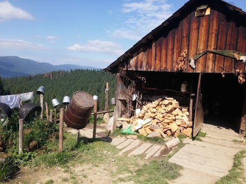 Полонина Довга, літнє пасовище