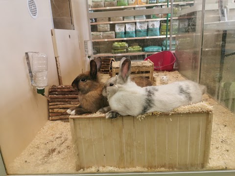 Pets at Home Blackheath