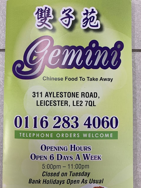 Gemini Chinese Take Away