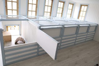 Buckley's luxury small pet hotel