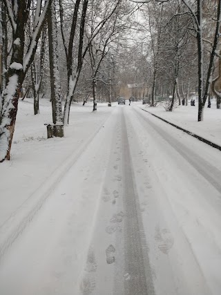 Тернопільський обласний навчально-реабілітаційний центр