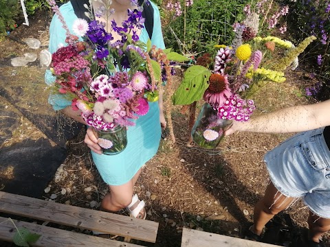 Petallica Flower Farm