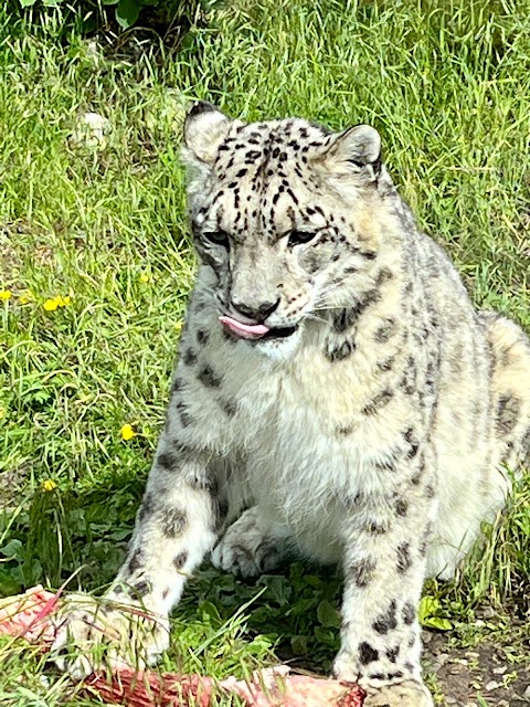 Marwell Zoo Science & Learning Centre