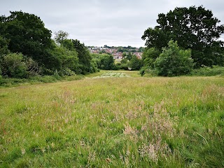 Ley Hill Park