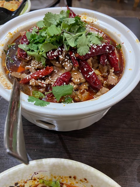 Chinese resturant 老成都（Uxbridge分店） new oriental kitchen