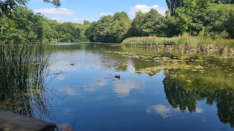 Himley Hall and Park