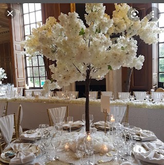 Bride & Bloom Florist- Venue & Event Stylists