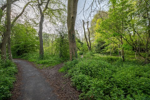 Dene Woodland