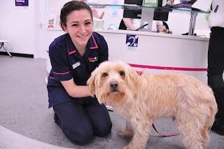 Vets4Pets - Portishead