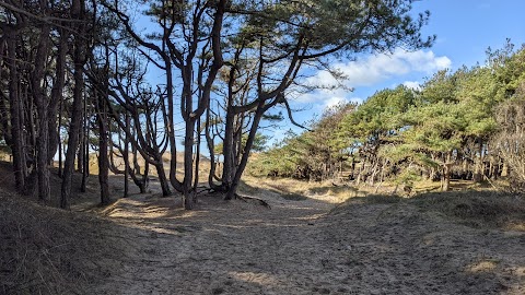 Formby Beach (Fishermans Path)