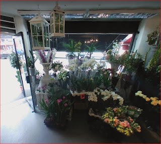 Abbi Florist London