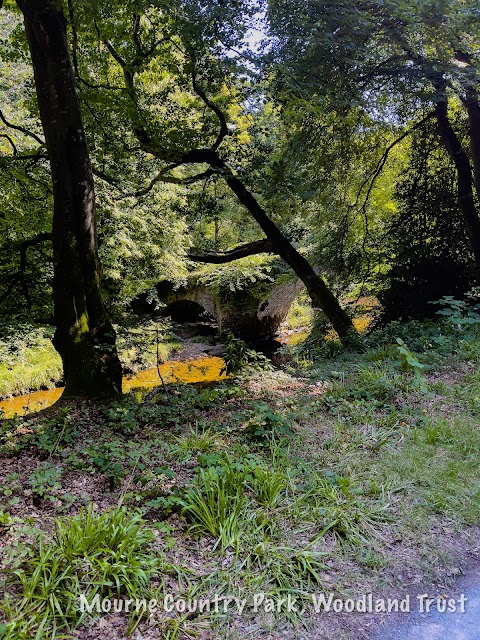 Mourne Park, Woodland Trust