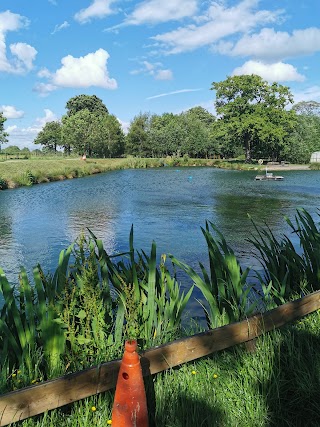 Unleashed Dog Adventure Park