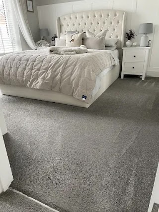 Professional carpet steam clean