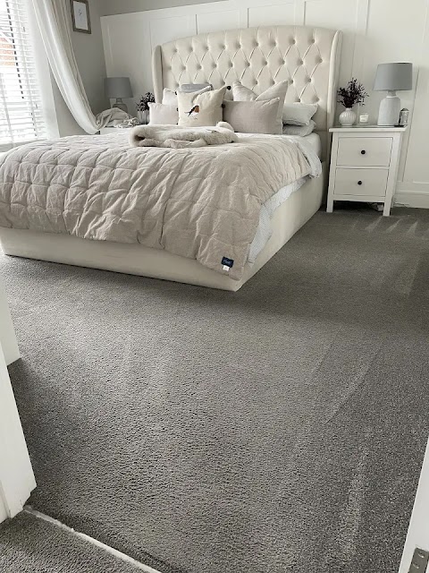 Professional carpet steam clean