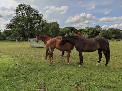 Waverley Equestrian Training Centre & The Three Bees