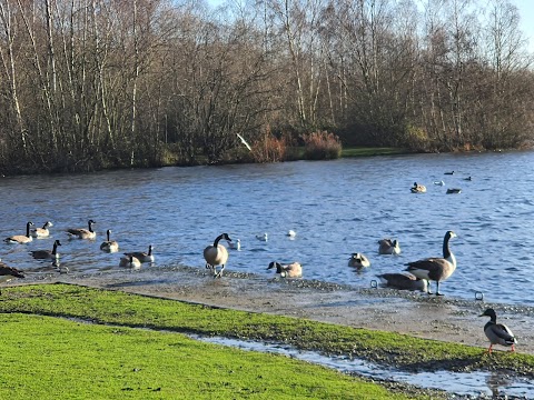 Daneshill Lakes